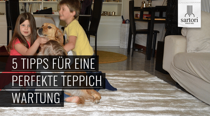 5-Tipps-für-eine-perfekte-Teppich-Wartung.png