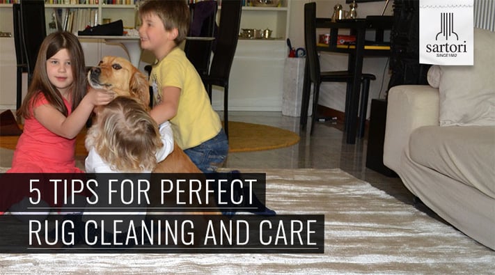 5-Tips-For-Perfect-Rug-Cleaning-And-Care.jpg