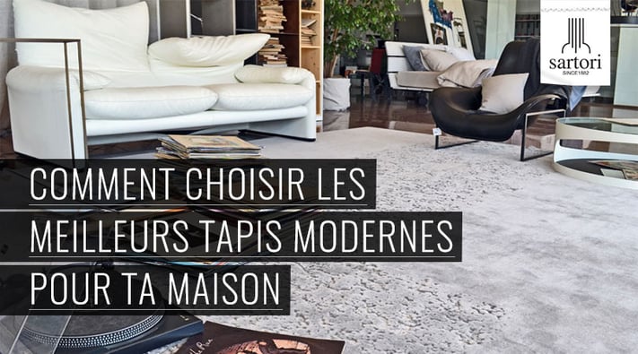 Comment-Choisir-Les-Meilleurs-Tapis-Modernes-Pour-Ta-Maison.jpg