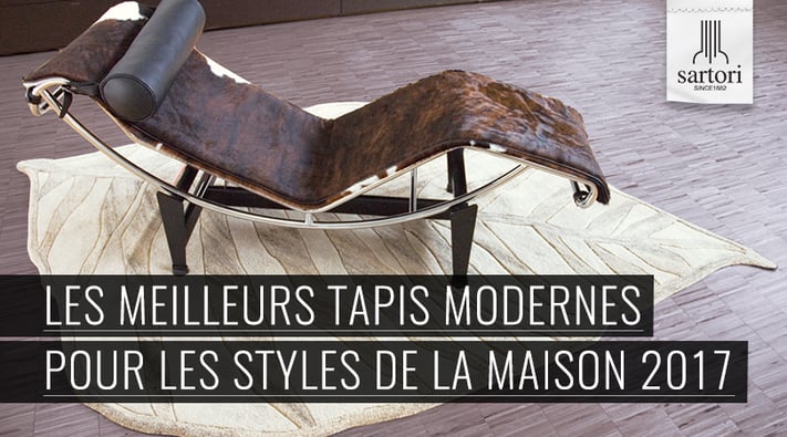 Les-Meilleurs-Tapis-Modernes-Pour-Les-Styles-De-La-Maison-2017.png